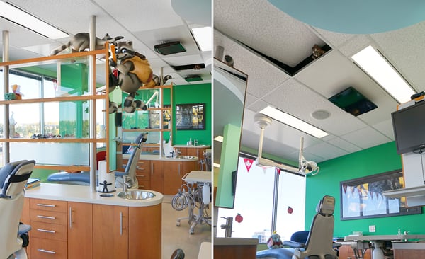 woodland critters in a dental office