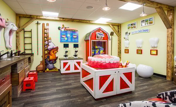 Farm themed dental education room with tooth brushing demo and microscopic slides of plaque.